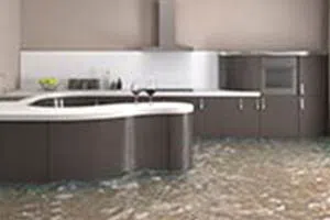 Coconut Creek Restoration Expert Coconut Creek, FL 954-343-7049 - broward-county