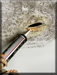 Coconut Creek Restoration Expert Coconut Creek, FL 954-343-7049 - sb-01